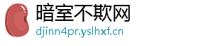 暗室不欺网
